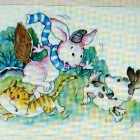 睡前故事――魔法兔子