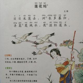 康爸亲子伴读|古诗《莲花坞》