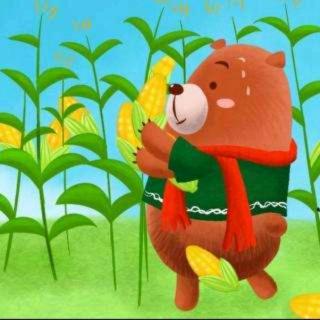 小熊种玉米