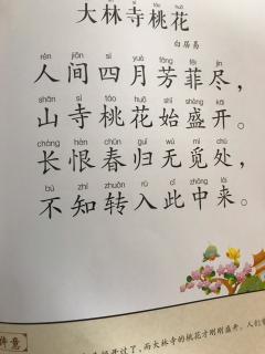 古诗《大林寺桃花》