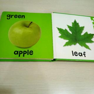 colors(green, apple, leaf)