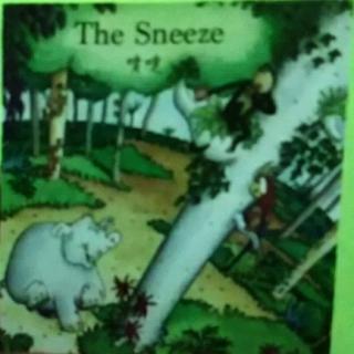 The Sneeze