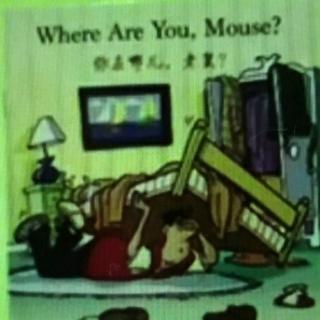 Where are you,Mouse?