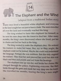 3-14 🐘The Elephant and Wind