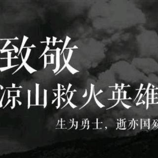 《燃烧的平凡》  文 陈卫环