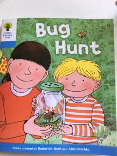 Bug Hunt20190519