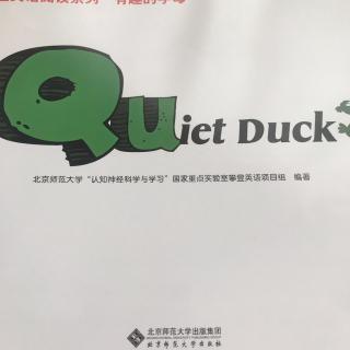 20190519A  Quiet   Duck