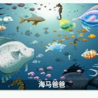 海马爸爸