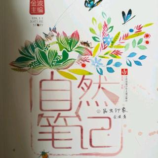 自然笔记之《昆虫印象》第51∽71面