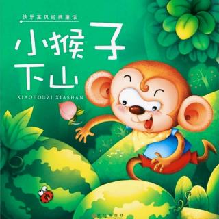 小猴子🐵下山