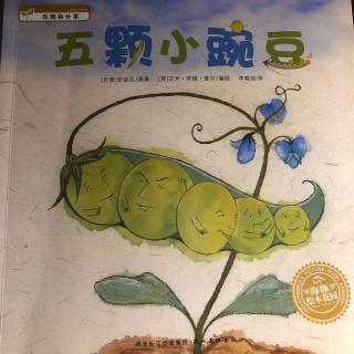 【亲子】《五颗小豌豆》20190519
