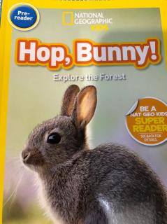 Hop, Bunny