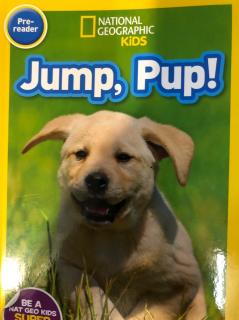 Jump, Pup!