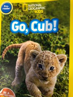 Go, Cub!