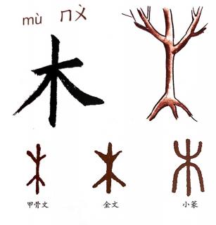 认识汉字：木