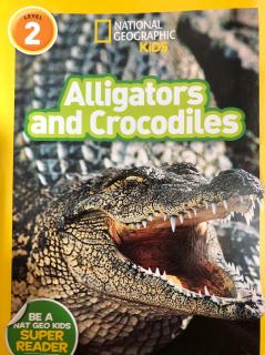 Alligators and Crocodiles