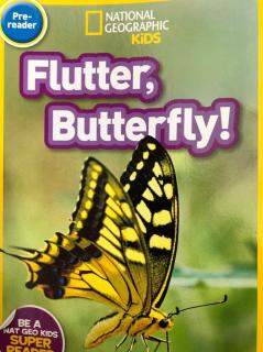 Flutter, Butterfly!