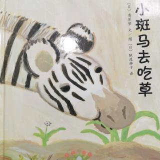 小斑马去吃草