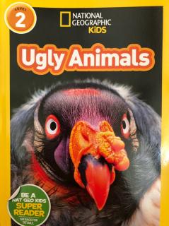 Ugly Animals