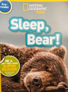 Sleep, Bear!