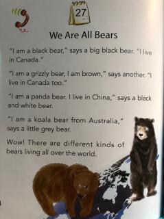 We Are All Bears