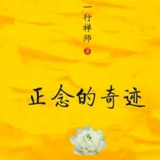 正念的奇迹-序言二:以慈悲之眼观照