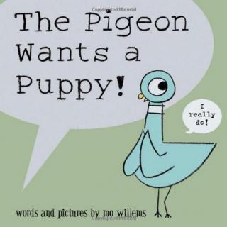 【艾玛读绘本】The Pigeon Wants a Puppy 朗读