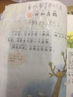 小学一年级下册六数和喜鹊。