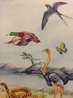 《小牛顿动物百科大揭密—动物的翅膀和羽毛1》