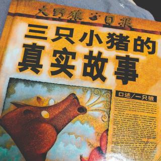 《三只小猪🐷的真实故事🕵️》