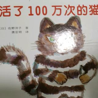 活了100万次的猫