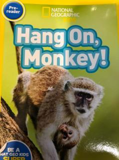 Hang on, Monkey!