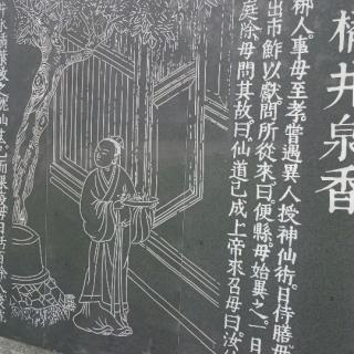 焦师论临床