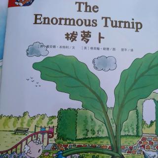 52-The   Enormous   Turnip