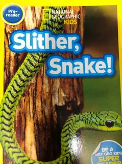 Slither，Snake！