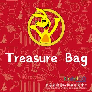 Treasure Bag