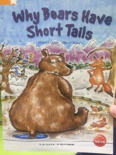 why bears have short tails