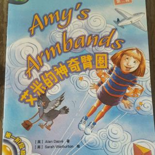 Amy's Armbands 2