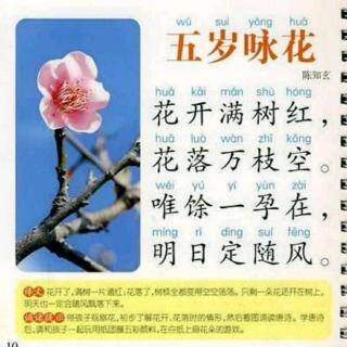 五岁咏花陈知玄