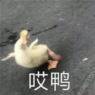 随便唱的