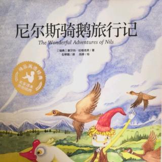 《尼尔斯骑鹅旅行记（33-37页）》26分钟