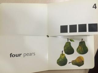 安妮花阅读馆jk four pears