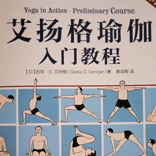 侧角扭转式Parivrtta Parsvakonasana