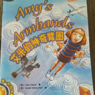 Amy's Armbands 3