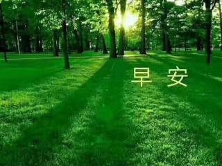 羊皮卷之二（打卡第十二天）