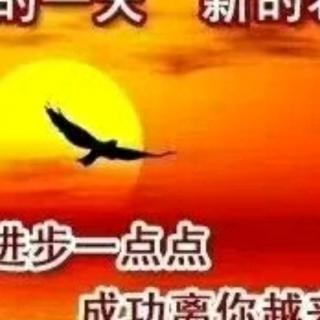 廷宝专辑《兜风》