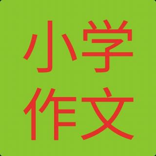 《妈妈给我的爱》作文