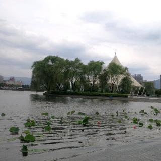 《沙与沫》精选