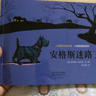 《安格斯迷路了》大师名作绘本～小狗安格斯系列