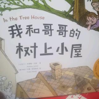 我和哥哥的树上小屋